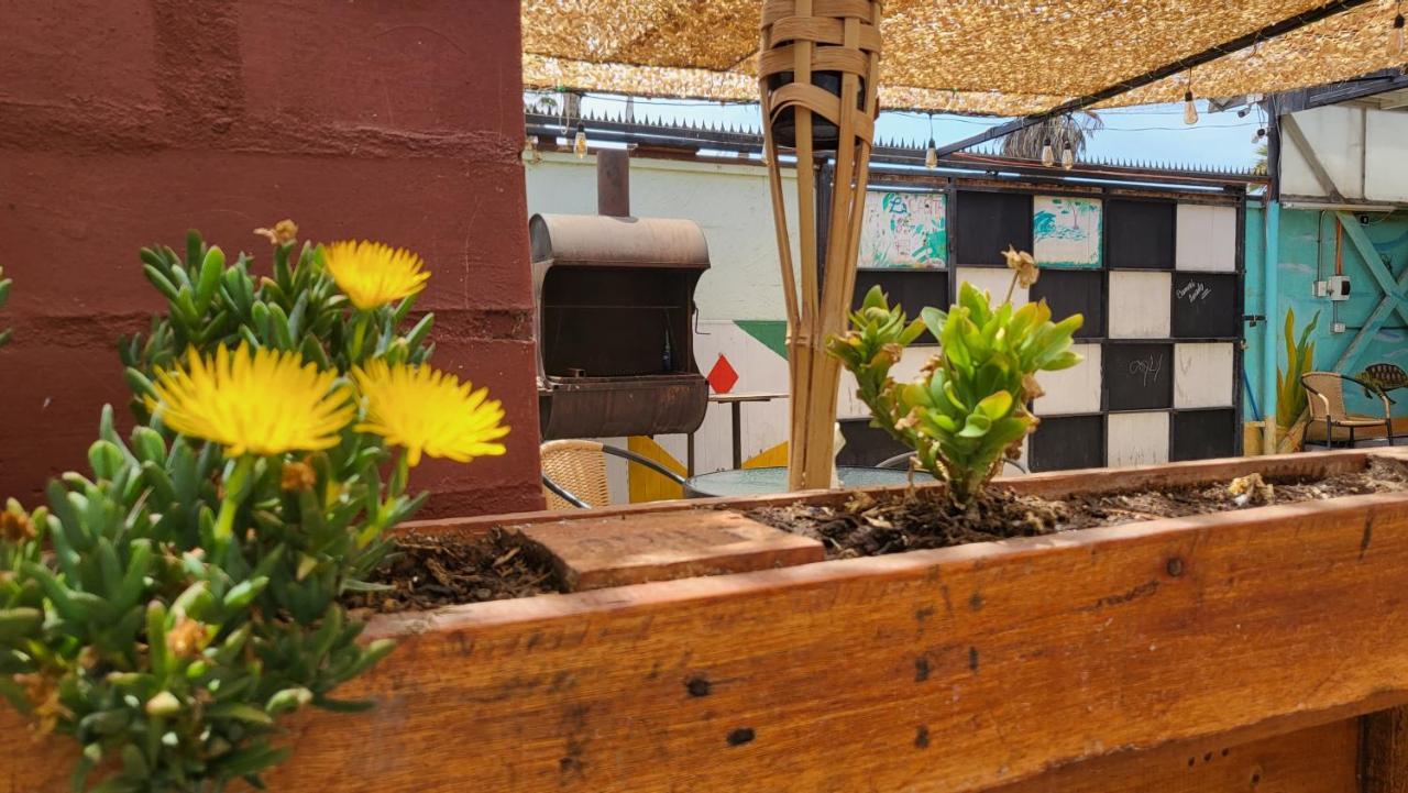 Hostel Willka Kuti Backpackers Arica Exterior foto