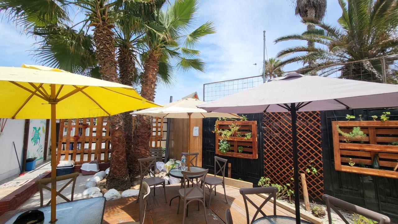 Hostel Willka Kuti Backpackers Arica Exterior foto